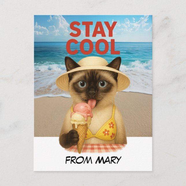 Siamese Cat is licking ice cream stay cool  Postcard (Front)