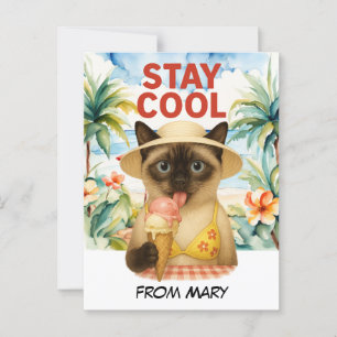 Siamese Cat is licking ice cream stay cool Postcard