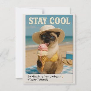 Siamese Cat is licking ice cream stay cool  Postcard