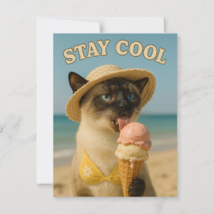 Siamese Cat is licking ice cream stay cool  Postcard