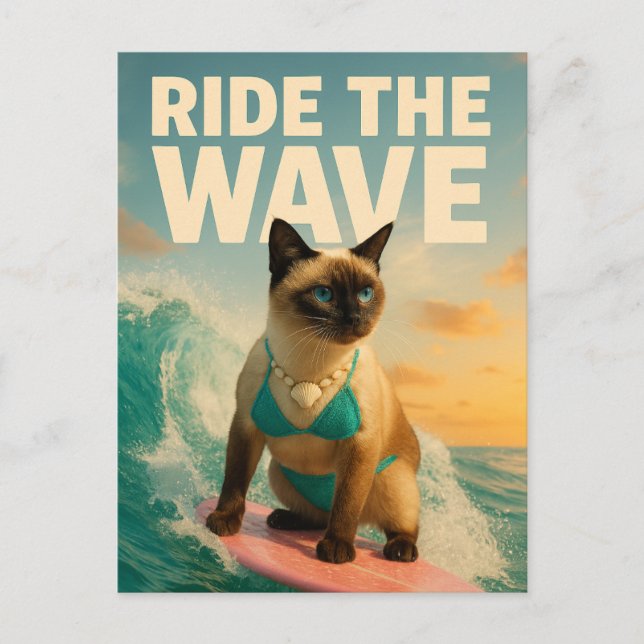 Siamese Cat is surfing  Postcard (Front)