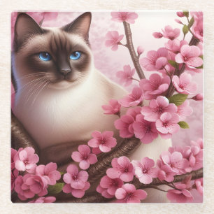 Siamese Cat Japanese Cherry Blossom Flower Pink Glass Coaster