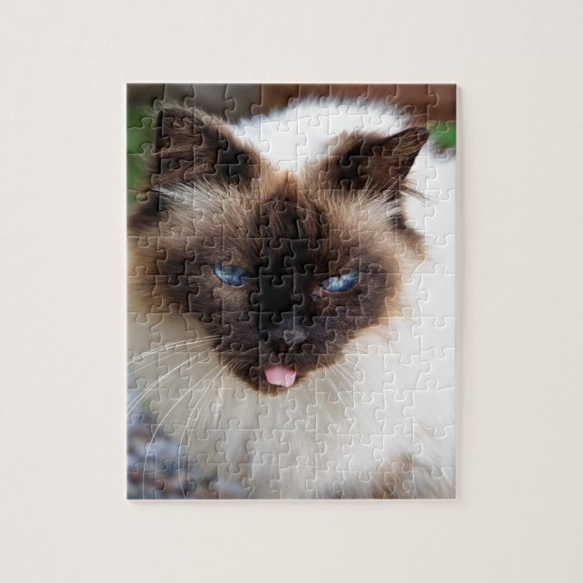 Siamese cat jigsaw puzzle (Vertical)