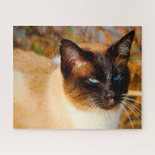 Siamese Cat . Jigsaw Puzzle