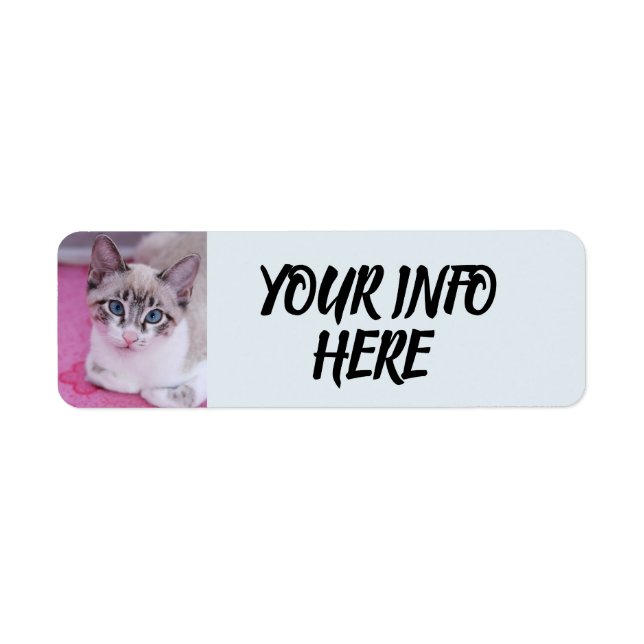 SIAMESE CAT KITTEN RETURN ADDRESS LABELS (Front)