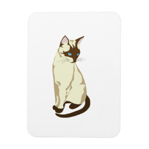 Siamese cat magnet