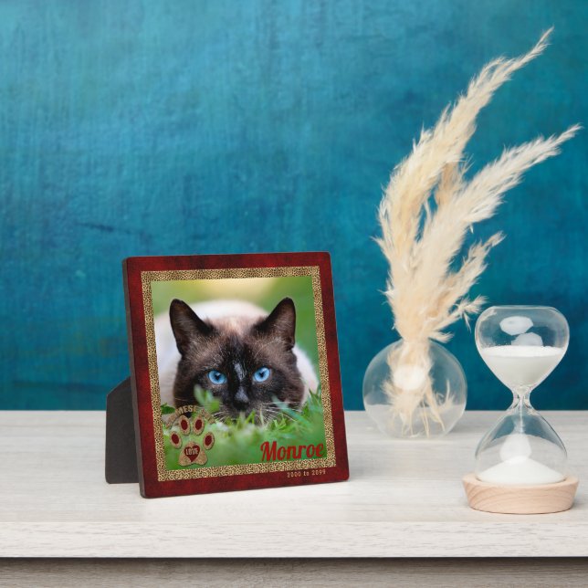 Siamese Cat Memorial Photo Plaque (Insitu)