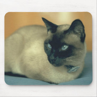 Siamese cat mouse pad
