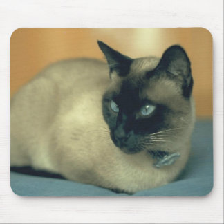 Siamese Cat Mousepad