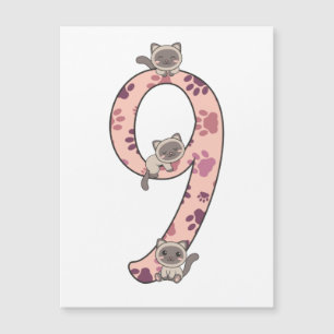 Siamese Cat Ninth Birthday For Kids Cats