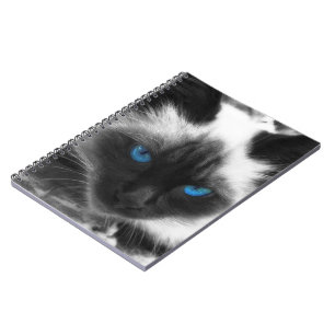Siamese Cat Notebook