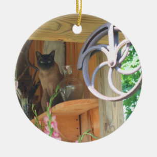 Siamese Cat On Shelf Animal Ornament
