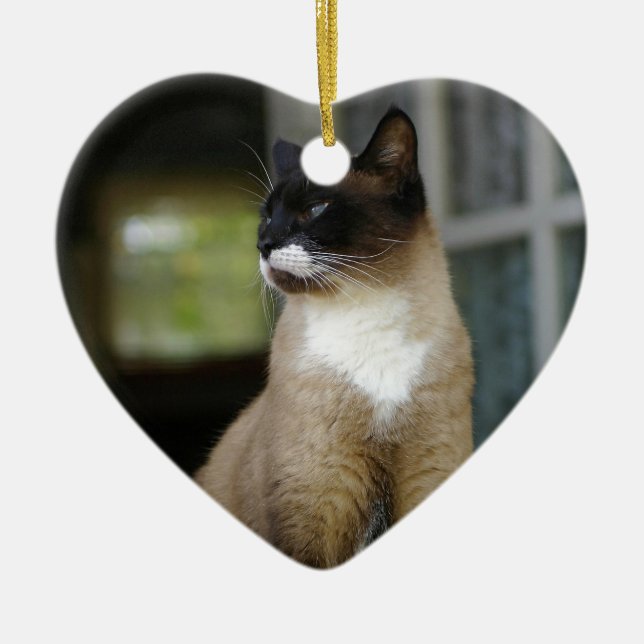 Siamese Cat on the Porch Ceramic Tree Decoration (Front)