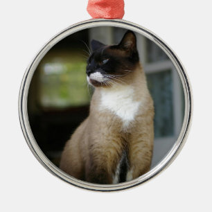 Siamese Cat on the Porch Metal Tree Decoration