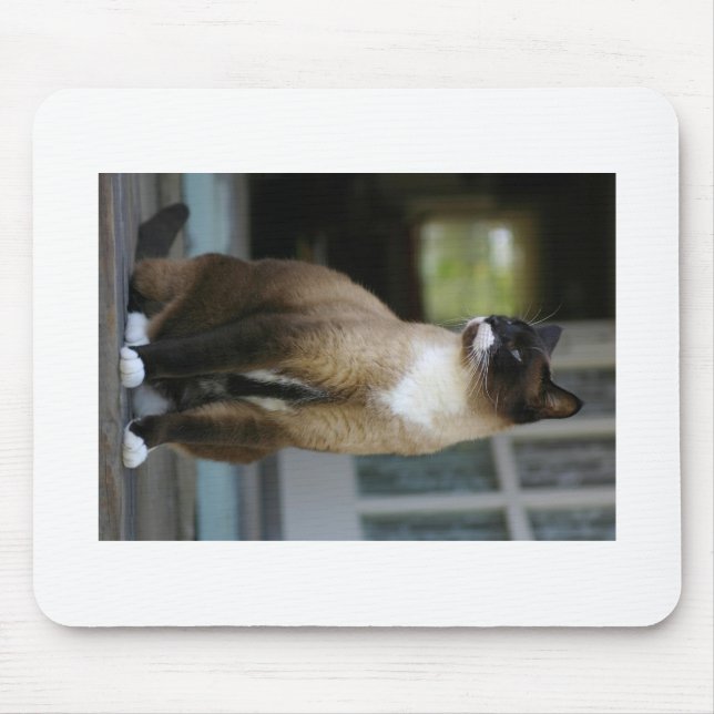 Siamese Cat on the Porch Mouse Pad (Front)