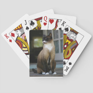 Siamese Cat on the Porch Playing Cards