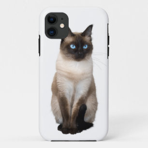 Siamese Cat on White iPhone 11 Case