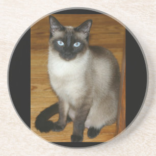 Siamese Cat Pet Animal Office Peace Love Destiny Coaster