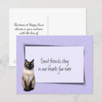 Siamese Cat Pet Loss From Veterinarian