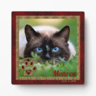 Siamese Cat Pet Memorial Photo