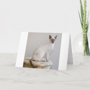 Siamese Cat Pet Purr Meow Kitty Destiny Card