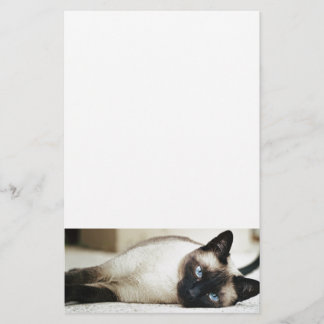 Siamese Cat Pet Stationery
