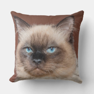 Siamese cat pillow