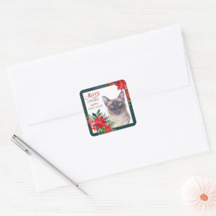 Siamese Cat Poinsettia Border Christmas Square Sticker