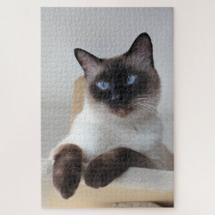 Siamese Cat Portrait Jigsaw Puzzle