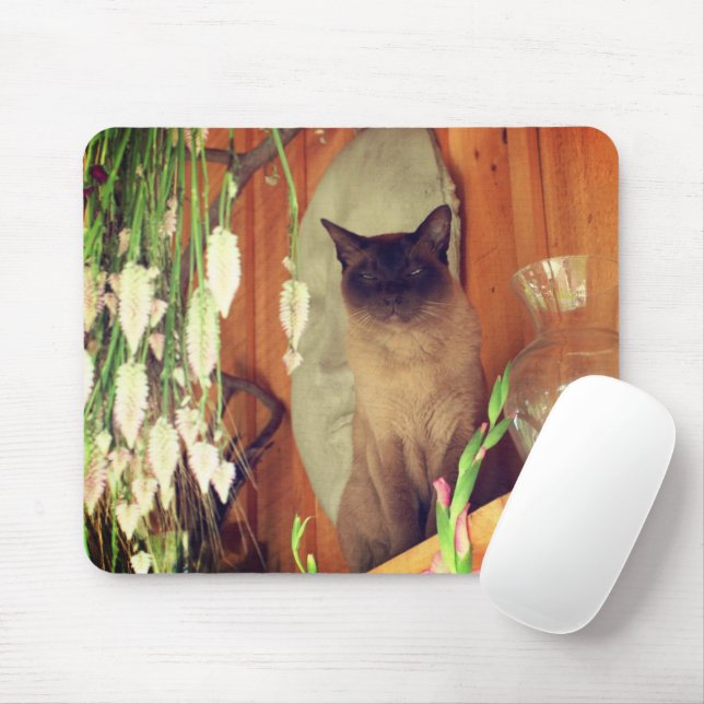 Siamese Cat Posing #1 Mouse Pad (With Mouse)
