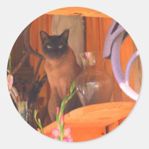Siamese Cat Posing 2 Animal  Classic Round Sticker