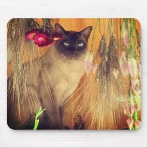 Siamese Cat Posing #3 Animal  Mouse Pad