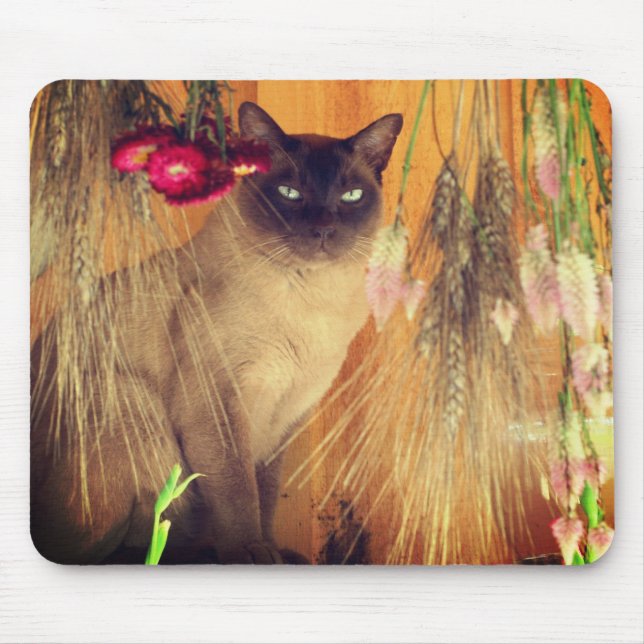 Siamese Cat Posing #3 Animal  Mouse Pad (Front)