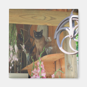 Siamese Cat Posing Animal Photography Magnet #2
