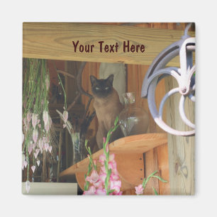 Siamese Cat Posing Animal Photography Magnet #2