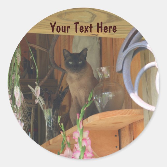 Siamese Cat Posing Animal Photography Sticker #2 (Front)