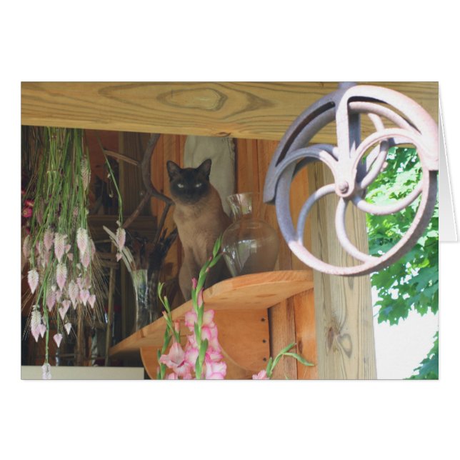 Siamese Cat Posing Photography Card #2 (Front Horizontal)