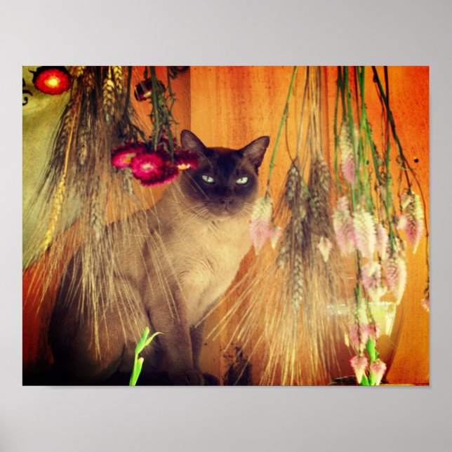 Siamese Cat Posing With Flowers Poster (Front)