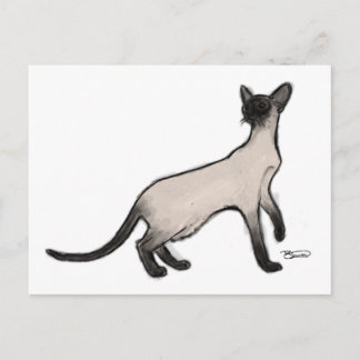 Siamese Cat Post Card