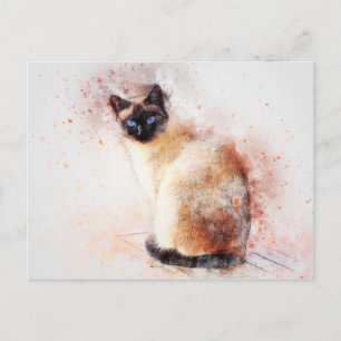 siamese cat postcard