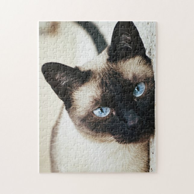 Siamese cat puzzle (Vertical)