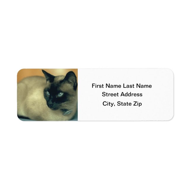 Siamese Cat Return Address Label (Front)