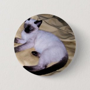 Siamese cat sandstone animal art pet cute kitty 6 cm round badge