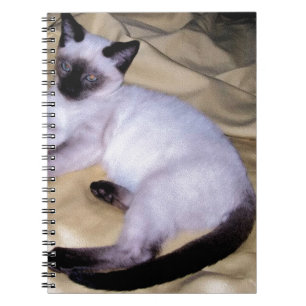 Siamese cat sandstone animal art pet cute kitty notebook