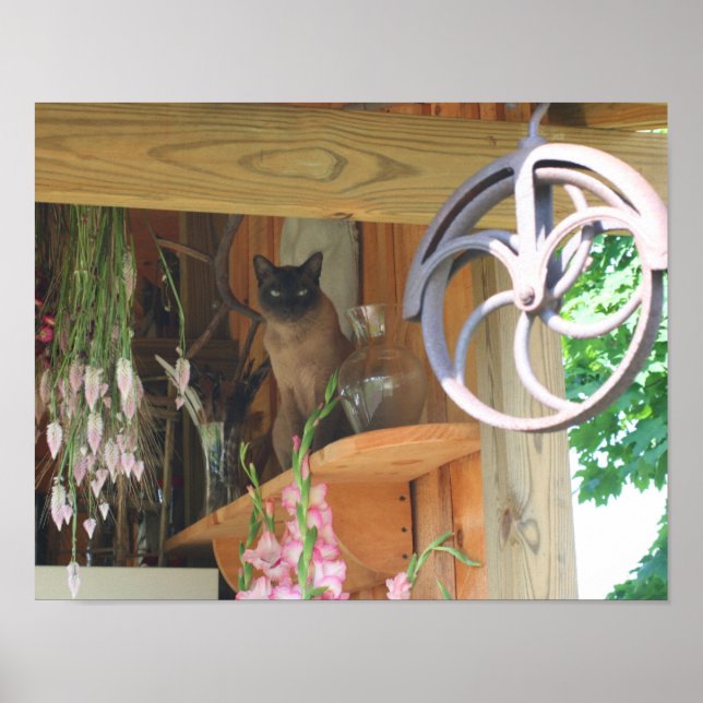Siamese Cat Sitting On Shelf Animal Poster (Front)