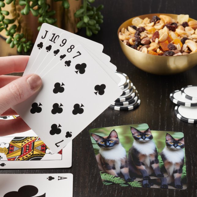 Siamese Cat Twins, Deck Of Playing Cards (In Situ)