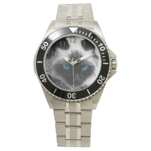 Siamese Cat Watch