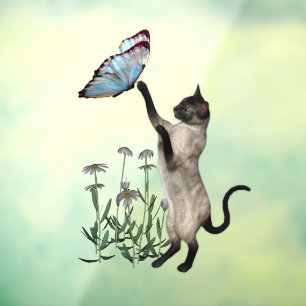 Siamese Cat With Blue Butterfly Animal
