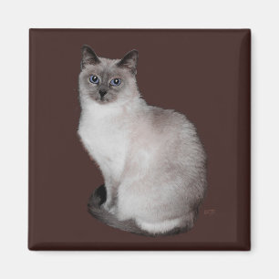 Siamese Cat with Blue Eyes Magnet
