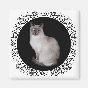 Siamese Cat with Blue Eyes Magnet
